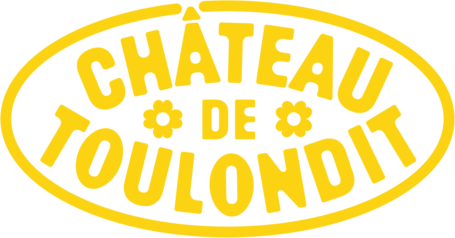 Chateau de Toulondit